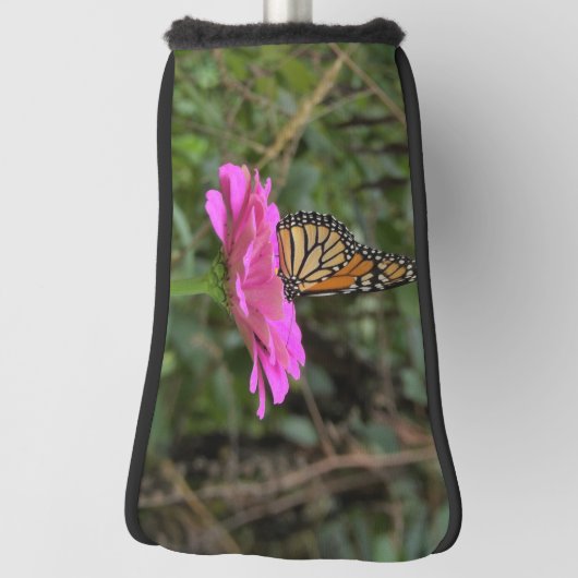 Monarch Butterfly auf der Hübschen rosa Zinnia-Blu Golf Headcover (Rotieren 90)