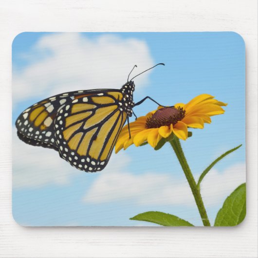 Monarch Butterfly auf der Mit Augen schwarzen Susa Mousepad (Vorne)