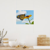 Monarch Butterfly auf der Mit Augen schwarzen Susa Poster (Küche)