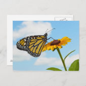 Monarch Butterfly auf der Mit Augen schwarzen Susa Postkarte (Vorne/Hinten)