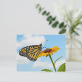 Monarch Butterfly auf der Mit Augen schwarzen Susa Postkarte (Stehend Vorderseite)
