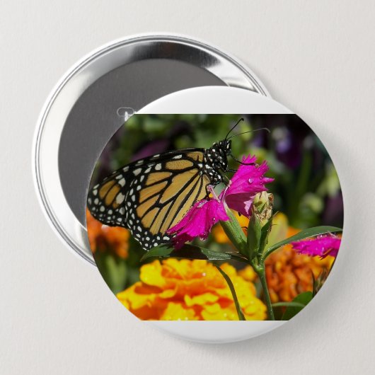 Monarch Butterfly auf der Pink-Marigold-Blume Button (Vorne & Hinten)