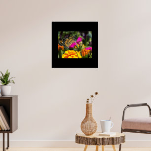 Monarch Butterfly auf der Pink-Marigold-Blume Poster