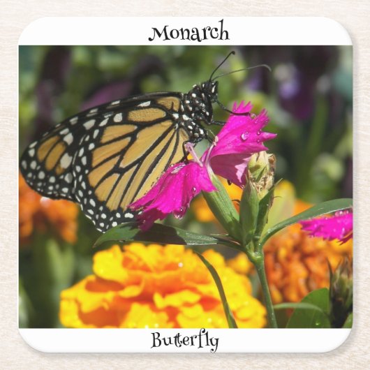 Monarch Butterfly auf der Pink-Marigold-Blume Rechteckiger Pappuntersetzer (Vorderseite)
