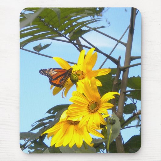 Monarch Butterfly auf der Sonnenblumenmaus Mousepad (Vorne)