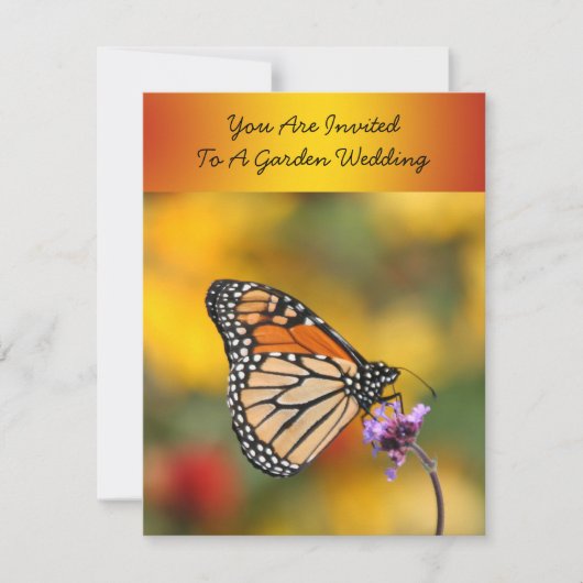 Monarch Butterfly auf der Suche nach Pollen Einladung (Vorderseite)