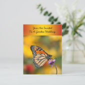 Monarch Butterfly auf der Suche nach Pollen Einladung (Stehend Vorderseite)