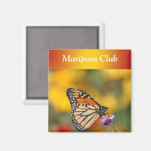 Monarch Butterfly auf der Suche nach Pollen Magnet (Vorderseite/Rückseite)