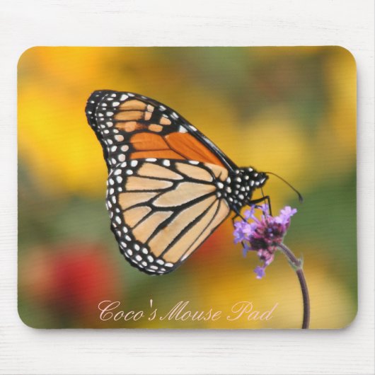 Monarch Butterfly auf der Suche nach Pollen Mousepad (Vorne)