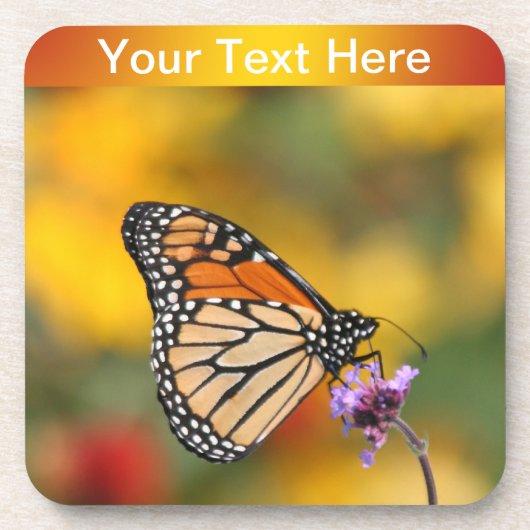 Monarch Butterfly auf der Suche nach Pollen Untersetzer (Vorderseite)