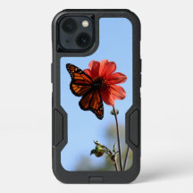 Monarch Butterfly auf einem Dahlia