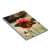 Monarch Butterfly auf einem Dahlia Blank Notizblock (Rechte Seite)