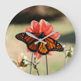 Monarch Butterfly auf einem Dahlia Große Wanduhr