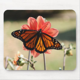 Monarch Butterfly auf einem Dahlia Mousepad