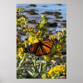 Monarch Butterfly auf einer Blume durch die Wasser Poster (Vorne)