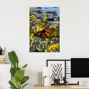 Monarch Butterfly auf einer Blume durch die Wasser Poster
