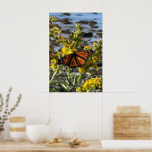 Monarch Butterfly auf einer Blume durch die Wasser Poster (Küche)
