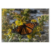 Monarch Butterfly auf einer Blume durch die Wasser Schneidebrett (Vorderseite)
