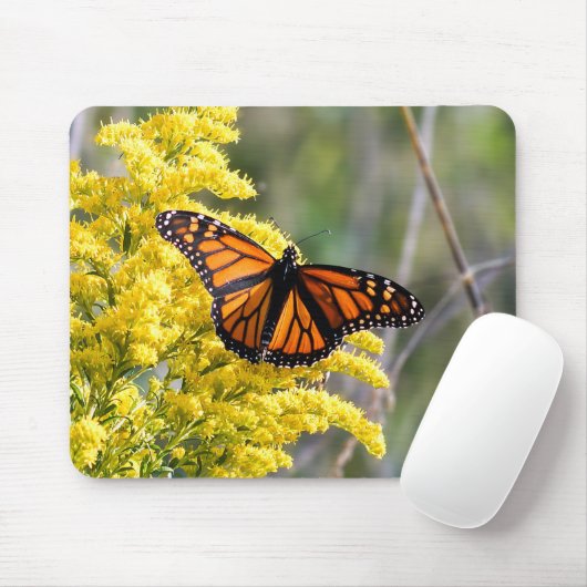 Monarch Butterfly auf Goldenrod Mousepad (Mit Mouse)