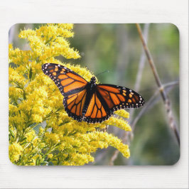 Monarch Butterfly auf Goldenrod Mousepad
