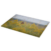 Monarch Butterfly auf Goldenrod Schneidebrett (Ecke)