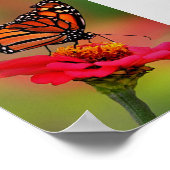 Monarch Butterfly auf hellrosa Zinnia Poster (Ecke)