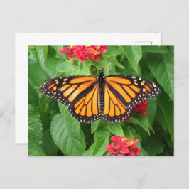 Monarch Butterfly auf Lantana Blank Postkarte