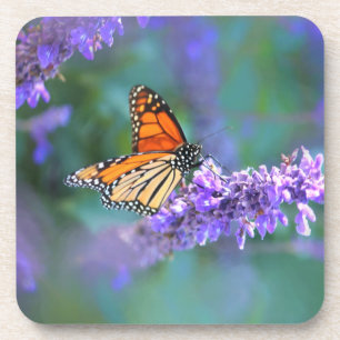 Monarch Butterfly auf Lila lila Blume Getränkeuntersetzer