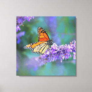 Monarch Butterfly auf Lila lila Blume Leinwanddruck