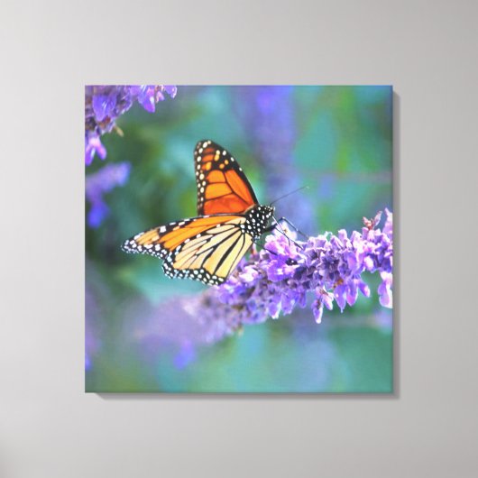 Monarch Butterfly auf Lila lila Blume Leinwanddruck (Vorderseite)