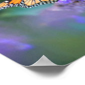 Monarch Butterfly auf Lila lila Blume Poster (Ecke)