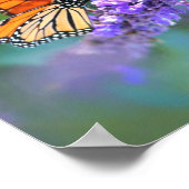 Monarch Butterfly auf Lila lila Blume Poster (Ecke)