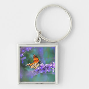 Monarch Butterfly auf Lila lila Blume Schlüsselanhänger