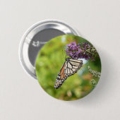 Monarch Butterfly auf Lila Schmetterling Bush Button (Vorne & Hinten)