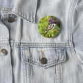 Monarch Butterfly auf Lila Schmetterling Bush Button (Beispiel)