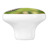 Monarch Butterfly auf Lila Schmetterling Bush Keramikknauf (Seitenansicht)