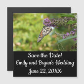 Monarch Butterfly auf Lila Schmetterling Bush Magnetkarte (Vorne/Hinten)