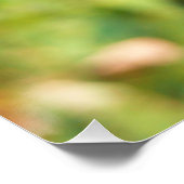 Monarch Butterfly auf Lila Schmetterling Bush Poster (Ecke)