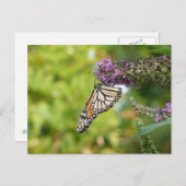 Monarch Butterfly auf Lila Schmetterling Bush Postkarte (Vorne/Hinten)