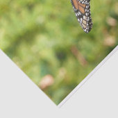 Monarch Butterfly auf Lila Schmetterling Bush Seidenpapier (Ausschnitt)