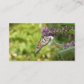 Monarch Butterfly auf Lila Schmetterling Bush Visitenkarte (Rückseite)