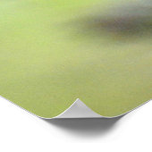 Monarch Butterfly auf Nektar-Foto-Plakat Poster (Ecke)