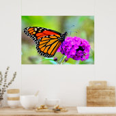 Monarch Butterfly auf Nektar-Foto-Plakat Poster (Küche)