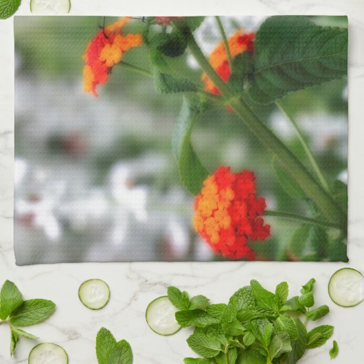 Monarch Butterfly auf Orange und Red Lantana Handtuch (Gefaltet)