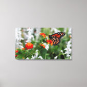 Monarch Butterfly auf Orange und Red Lantana Leinwanddruck (Vorderseite)