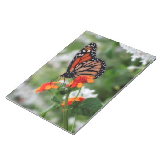 Monarch Butterfly auf Orange und Red Lantana Notizblock (angewinkelt)