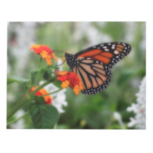 Monarch Butterfly auf Orange und Red Lantana Notizblock