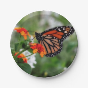 Monarch Butterfly auf Orange und Red Lantana Pappteller