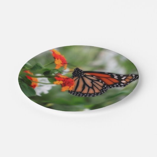 Monarch Butterfly auf Orange und Red Lantana Pappteller (Schrägansicht)