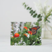 Monarch Butterfly auf Orange und Red Lantana Postkarte (Stehend Vorderseite)